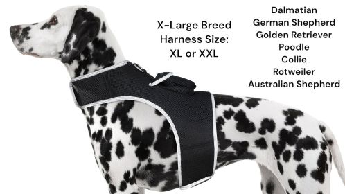 Quick Setup Waterproof GSM GPS Dog Tracking Device Portable Pet Finder Size:L