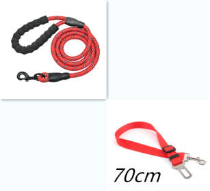 Reflective Dog Leash Nylon Pet Dog Leash Rope For Small Medium Large Dogs Walking Training Pet Suppiles (Color: Red set)