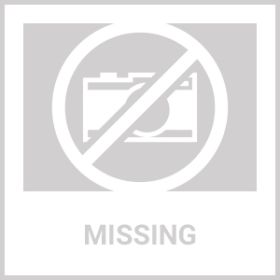 Heated Water Bowl For Dogs And Cats Ceramic Heated Pet Water Bowl Food Warmer USB Powered Thermal Pet Bowl Provide Fresh Non Freezing Drinkable W (Option: 1Bowl)